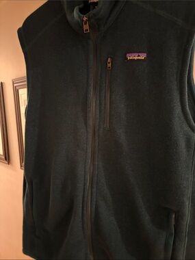 Patagonia Men's Forest Green Full-Zip Sweater Vest